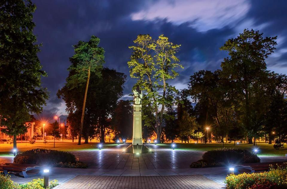 Marijampole Apartment Bagian luar foto